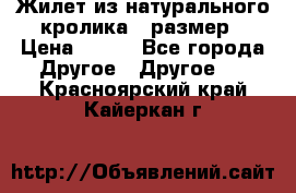 Жилет из натурального кролика,44размер › Цена ­ 500 - Все города Другое » Другое   . Красноярский край,Кайеркан г.